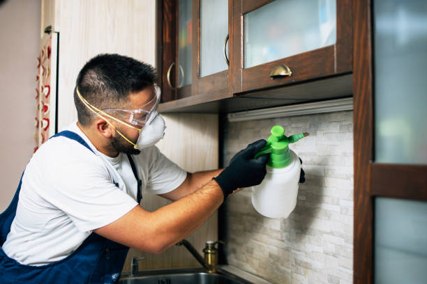 Best Best Pest Control Near Me  in St Charles, MN
