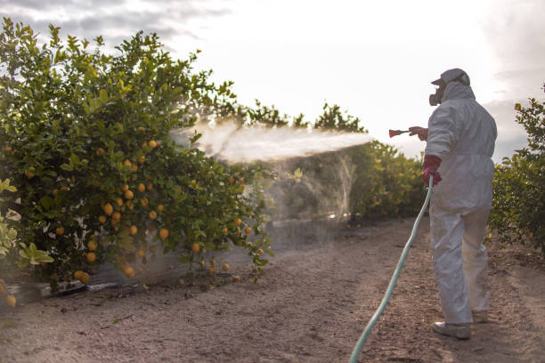 Flea Control Services in St Charles, MN