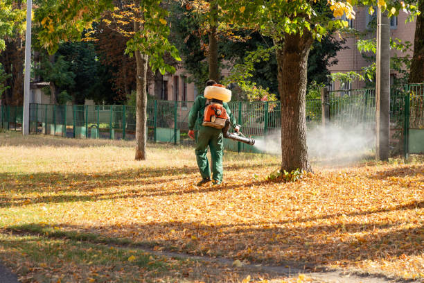Best Cockroach Control Services  in St Charles, MN