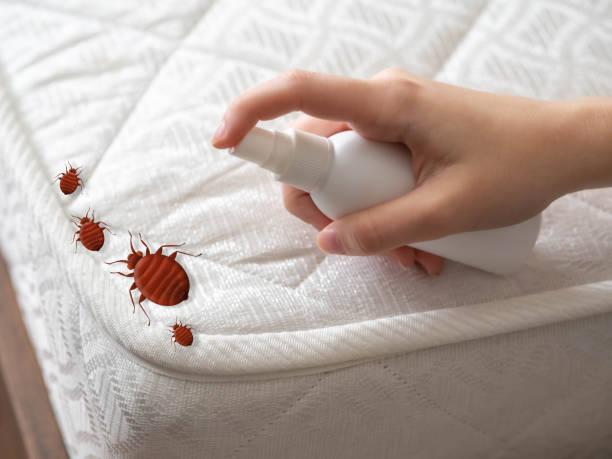 Best Emergency Pest Control  in St Charles, MN